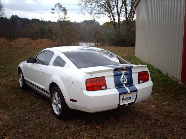 mustangstripe244.jpg