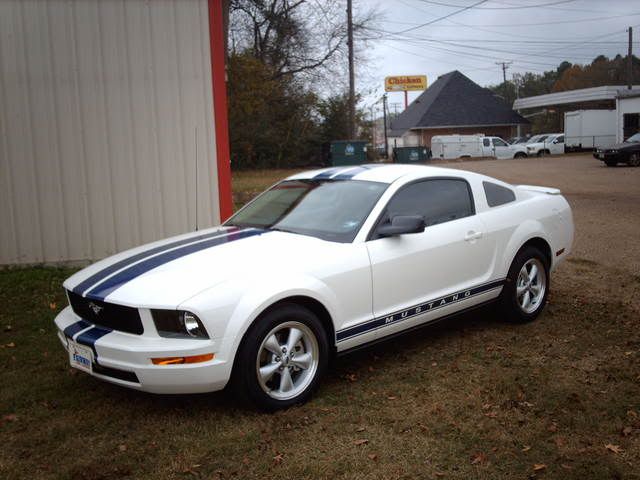 mustangstripe247.jpg