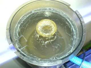 skimmer_03.jpg