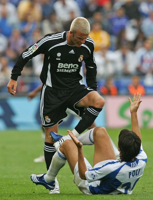 becks-rec5.jpg