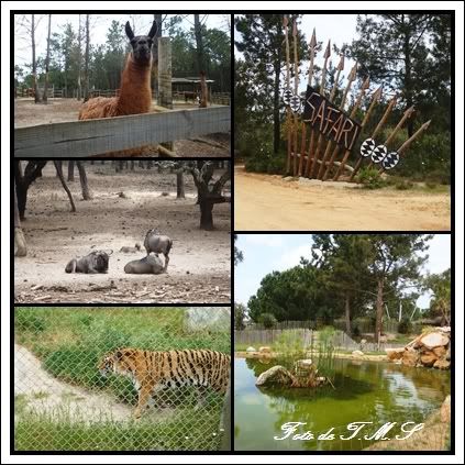 Badoca Safari Park 13-04