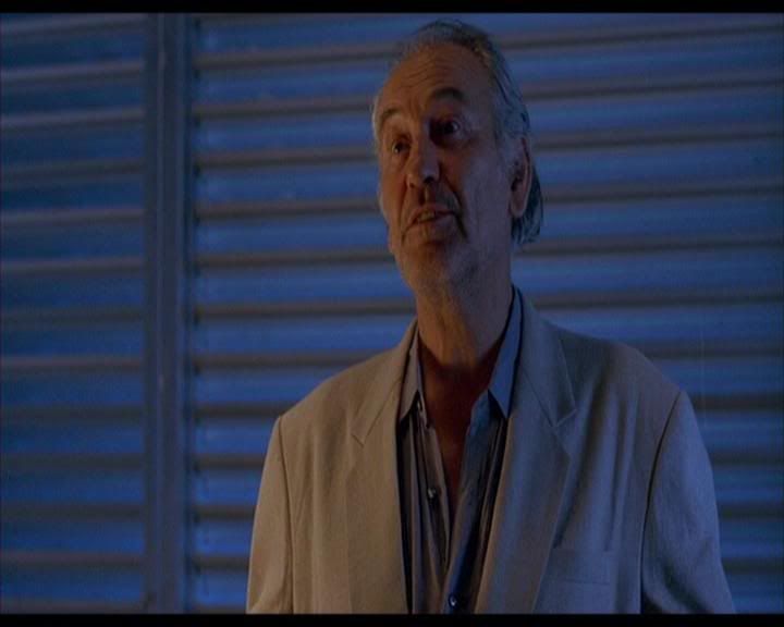 Patrick Bauchau as Raines