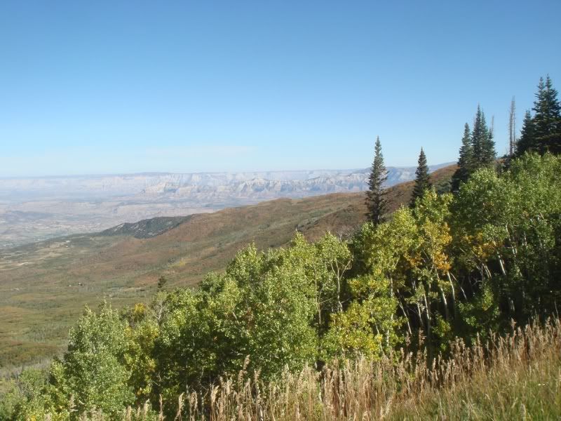 [Image: grandmesa065.jpg]