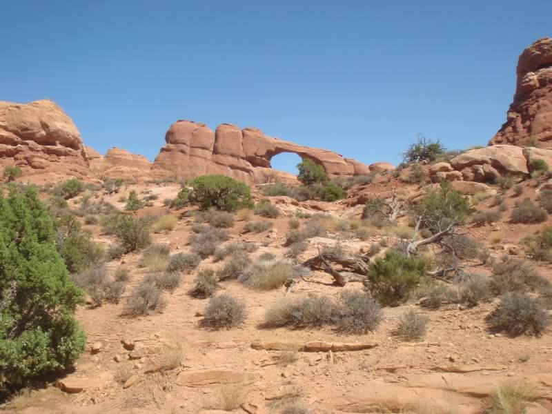 [Image: arches032.jpg]