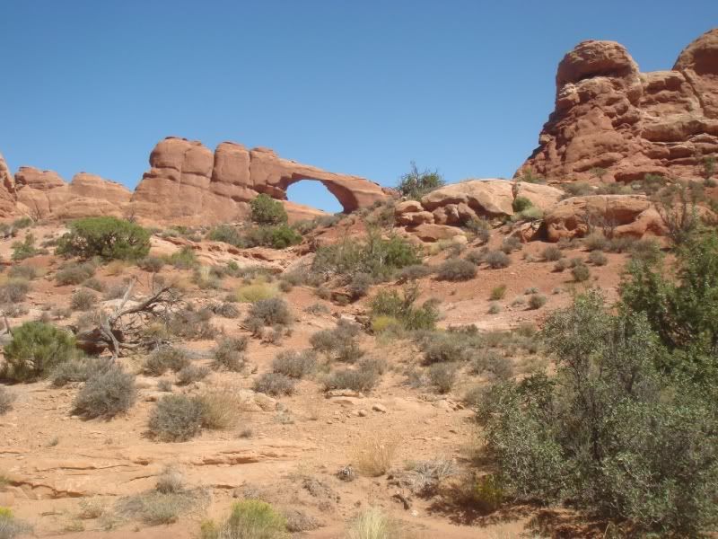 [Image: arches033.jpg]