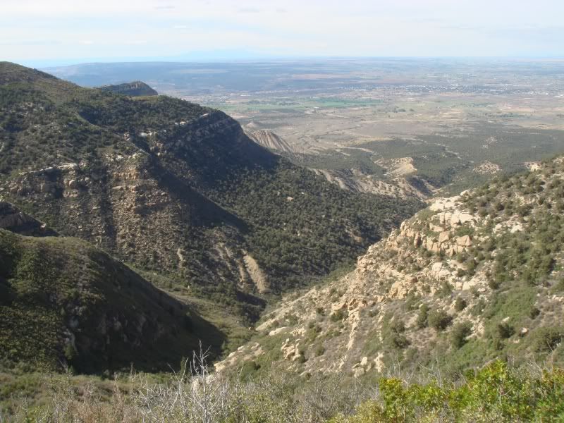 [Image: mesaverde017.jpg]