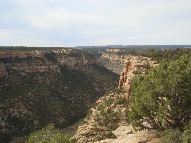 [Image: mesaverde033.jpg]