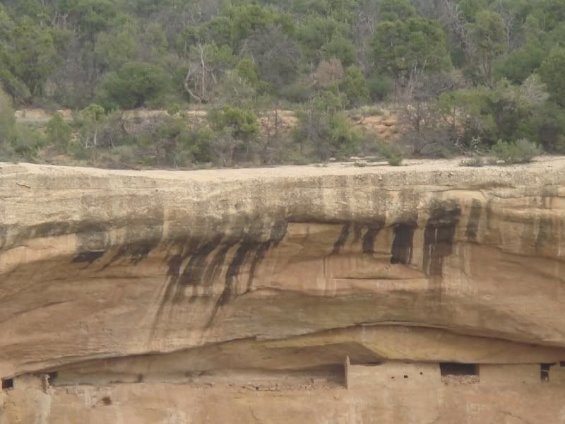 [Image: mesaverde043.jpg]