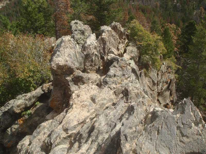 [Image: rmnp029.jpg]