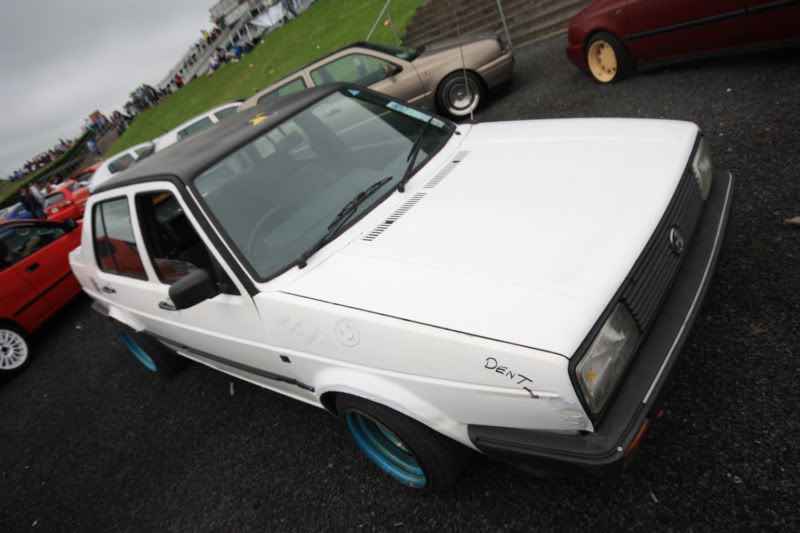 jetta.jpg