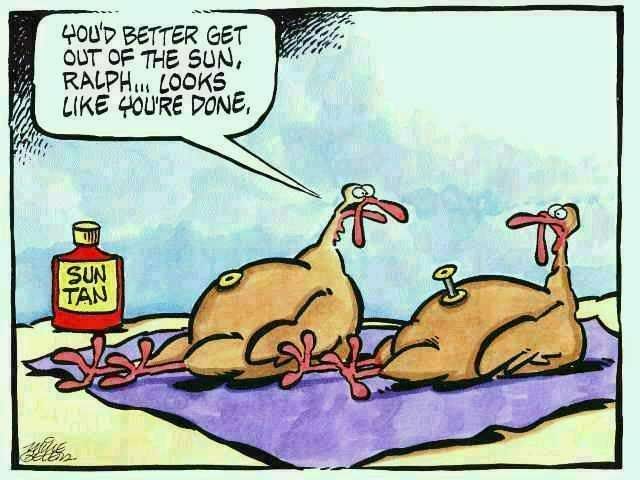 funny thanksgiving cartoons. funny thanksgiving cartoons.