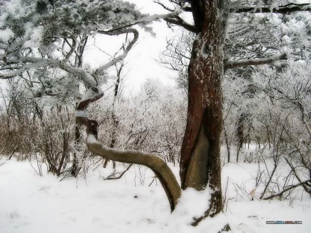 duytuyendt24-1.jpg