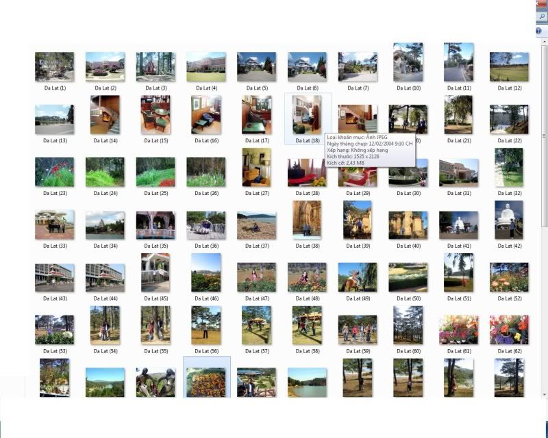 dalat1.jpg
