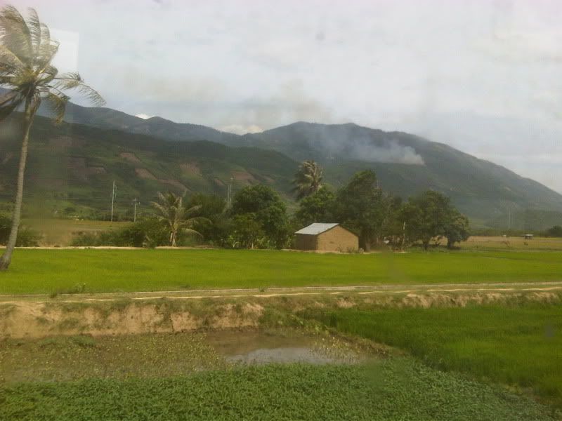 topic về những hình ảnh chụp bằng điện thoại di động - 4