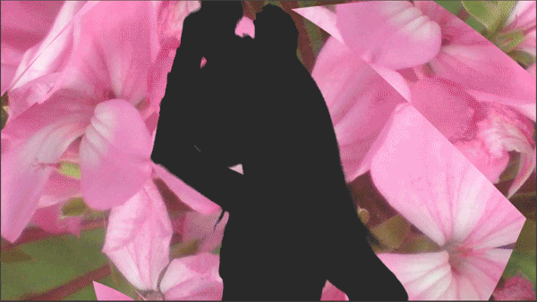 th_tamer01.gif