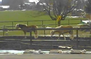 DSC00169.jpg picture by unpodime