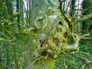 DSC01184.jpg picture by unpodime