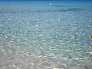 DSC01822.jpg picture by unpodime