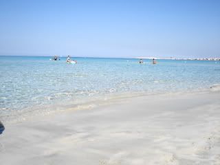 DSC01823-1.jpg picture by unpodime