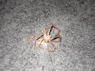 DSC03764.jpg picture by unpodime