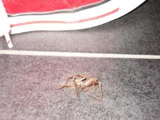 DSC03766.jpg picture by unpodime