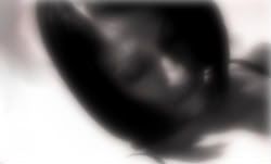 DSC04380soft-1.jpg picture by unpodime