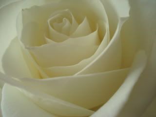 DSC05032.jpg picture by unpodime