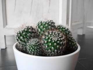 DSC05295.jpg picture by unpodime