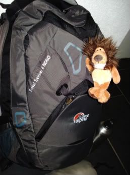 DSC06317.jpg picture by unpodime