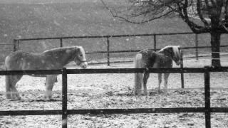 DSC07345.jpg picture by unpodime