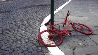 DSC07630.jpg picture by unpodime