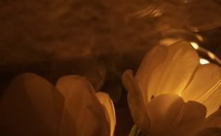 Picture002-1.jpg picture by unpodime