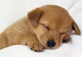 sonoancorako.jpg picture by unpodime