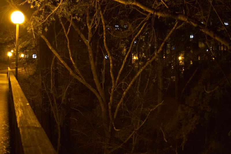 IMAGE: http://i137.photobucket.com/albums/q222/pyrojim/IMG_0129.jpg