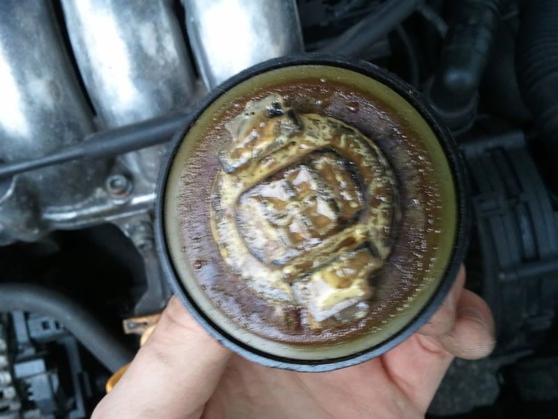 Possible blown head gasket? VW Vortex Volkswagen Forum