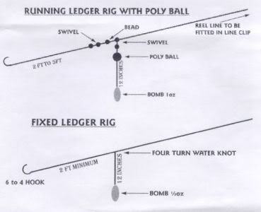 Perch Livebait Rig