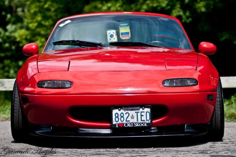 DSC_0413.jpg
