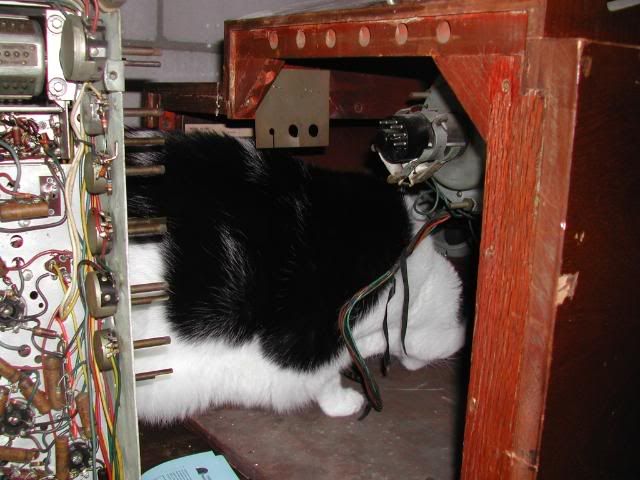 http://i137.photobucket.com/albums/q225/trojanrabbit74/Philco%20Restoration/DSCN2174.jpg