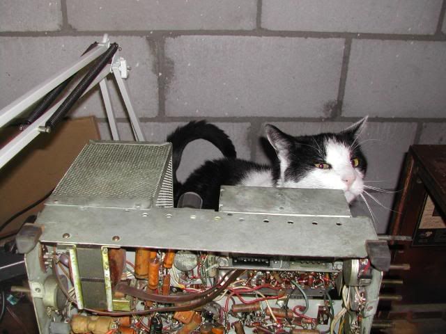 http://i137.photobucket.com/albums/q225/trojanrabbit74/Philco%20Restoration/DSCN2176.jpg