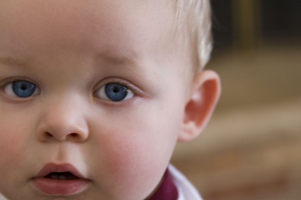 IMAGE: http://i137.photobucket.com/albums/q225/zivnuska/2011/IMG_6779-1-Edit-Edit-Edit.jpg