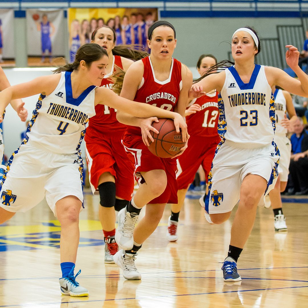 IMAGE: http://i137.photobucket.com/albums/q225/zivnuska/2016/ZIVN9849.jpg