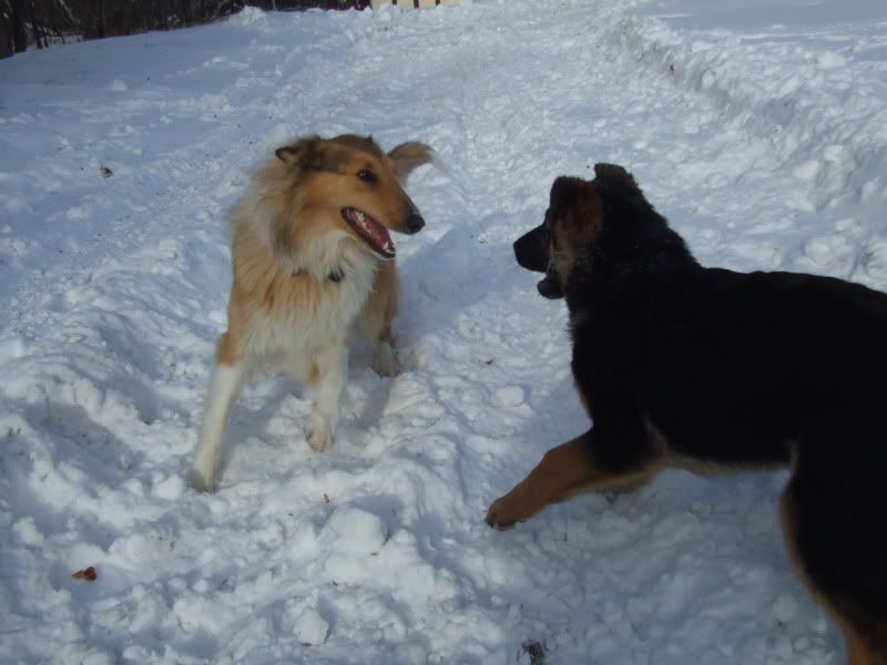 DSCF1369.jpg
