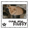 Fluffy<3 Avatar