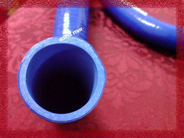 DSC08327-1.jpg