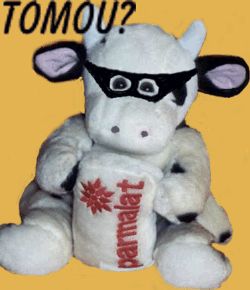 Tomou_zps10d6fa5f.jpg