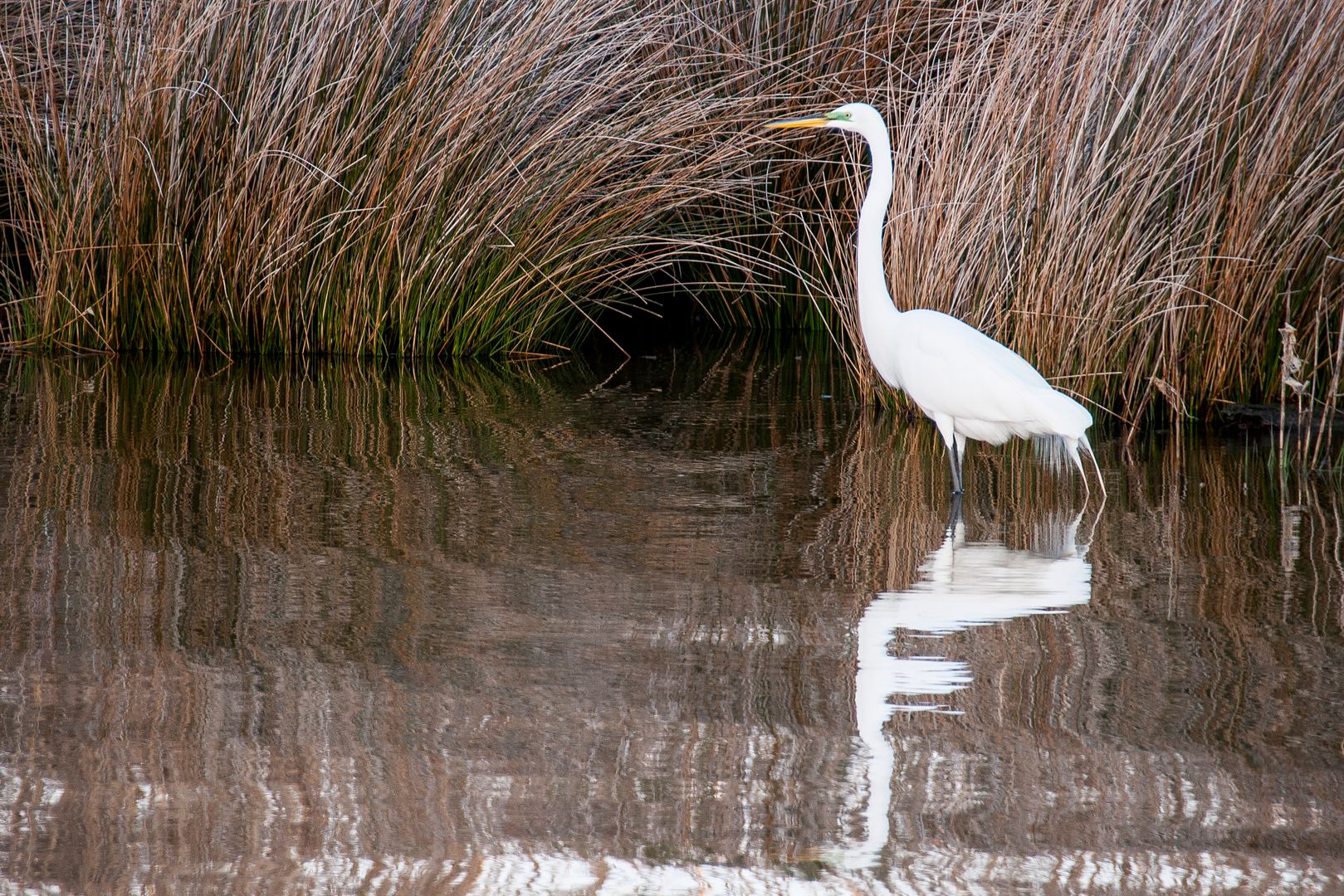 Hangin' at the Sugar Shack OBX Connection Message Board