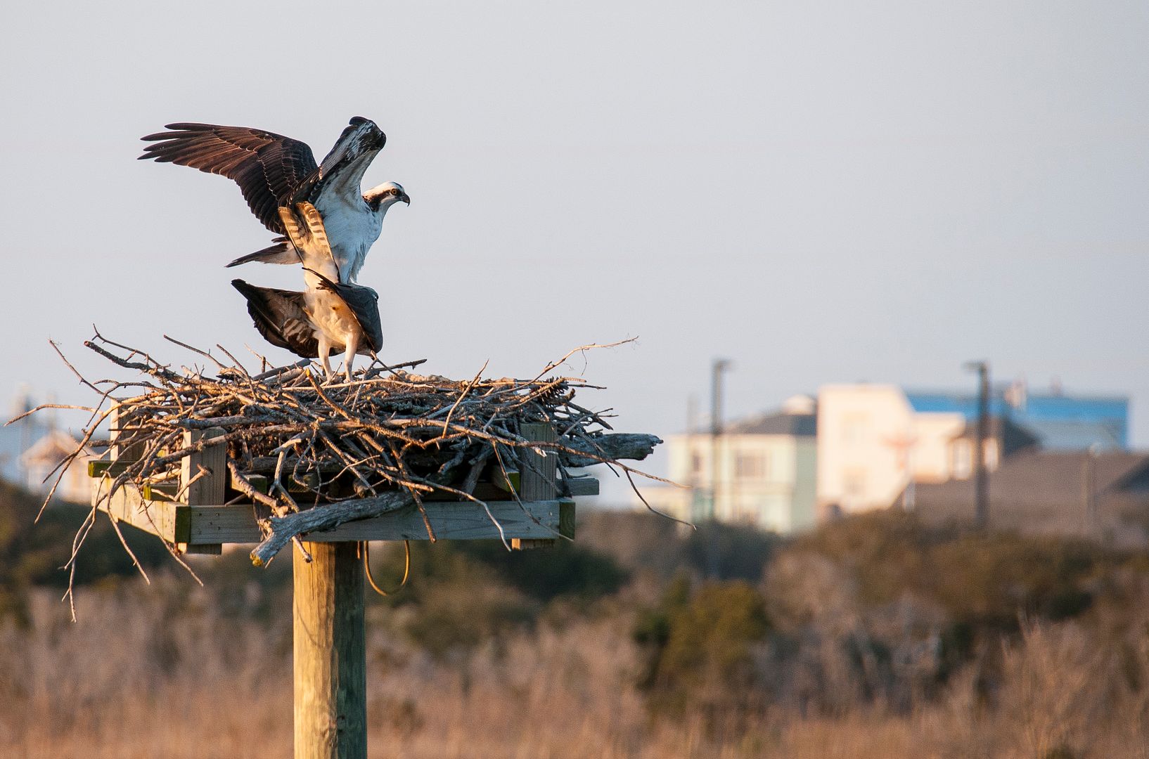 Hangin' at the Sugar Shack OBX Connection Message Board