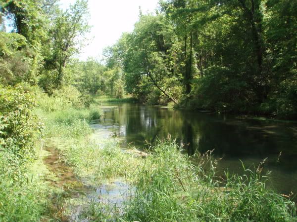 Letort Spring Creek