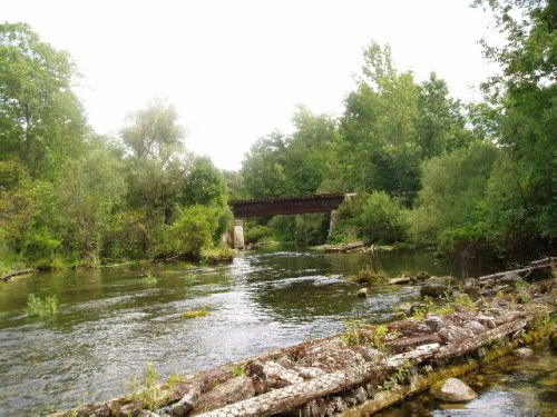 Wiscoy Creek Hatch Chart