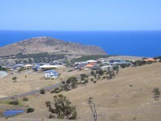 DSC00880.jpg